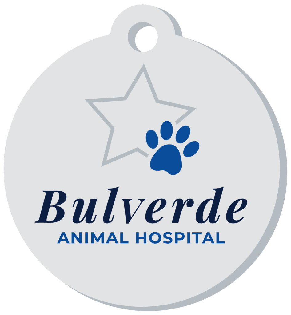 what-does-a-dog-seizure-look-like-bulverde-animal-hospital